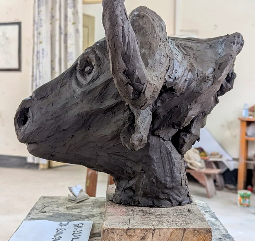 Cape Buffalo Head — lateral profile study