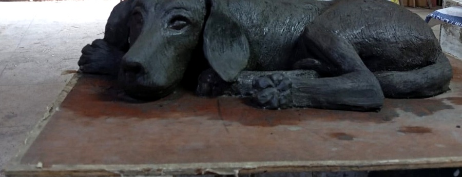 Sleeping Dog Study — low eye-level frontal repose view on turntable base